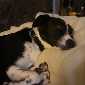 Meet your Posher, Emma